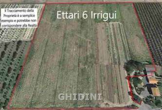 Vendita Monovano, Grosseto Vendita Monovano, Grosseto