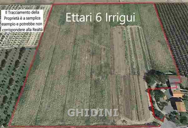 Vendita Monovano, Grosseto foto