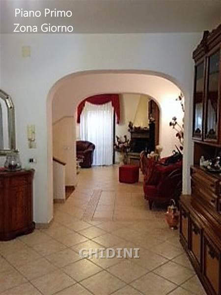 Vendita Eptavani, Grosseto foto