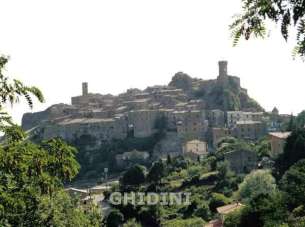 Vendita Quadrivani, Roccastrada