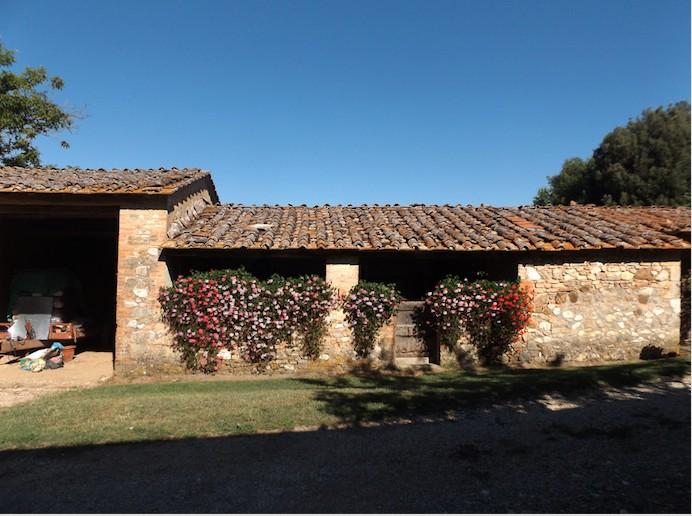 Vendita Altri immobili, Sovicille foto