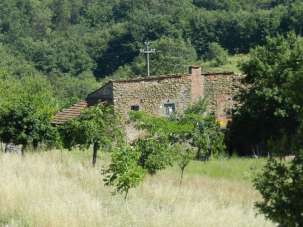 Vendita Locali commerciali, Civitella in Val di Chiana