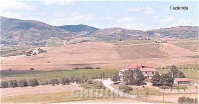 Vendita Multivani, Castel del Piano Vendita Multivani, Castel del Piano