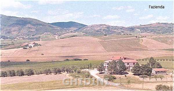 Vendita Multivani, Castel del Piano foto