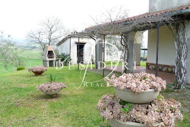 Vendita Multivani, Scansano foto