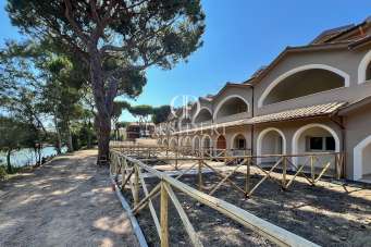 Vendita Quadrivani, Grosseto Vendita Quadrivani, Grosseto