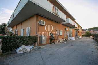 Vendita Trivani, Grosseto Vendita Trivani, Grosseto
