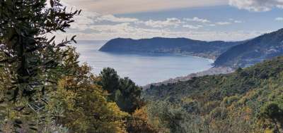 Vendita Case, Alassio
