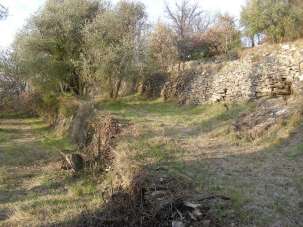 Vendita Trivani, Alassio