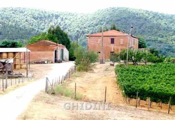Vendita Multivani, Magliano in Toscana foto