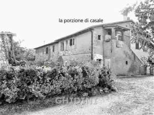 Vendita Multivani, Campagnatico Vendita Multivani, Campagnatico