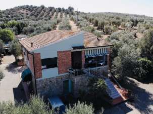 Vendita Multivani, Grosseto Vendita Multivani, Grosseto