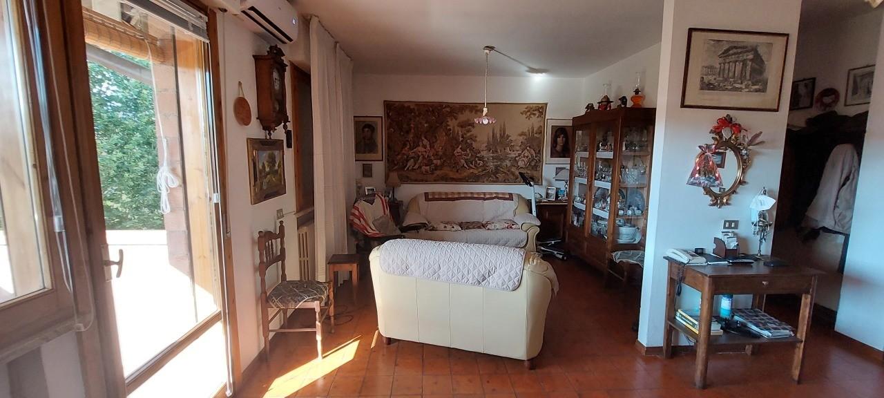 Vendita Pentavani, Siena foto