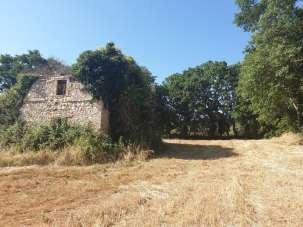 Vendita Esavani, Lugnano in Teverina Vendita Esavani, Lugnano in Teverina