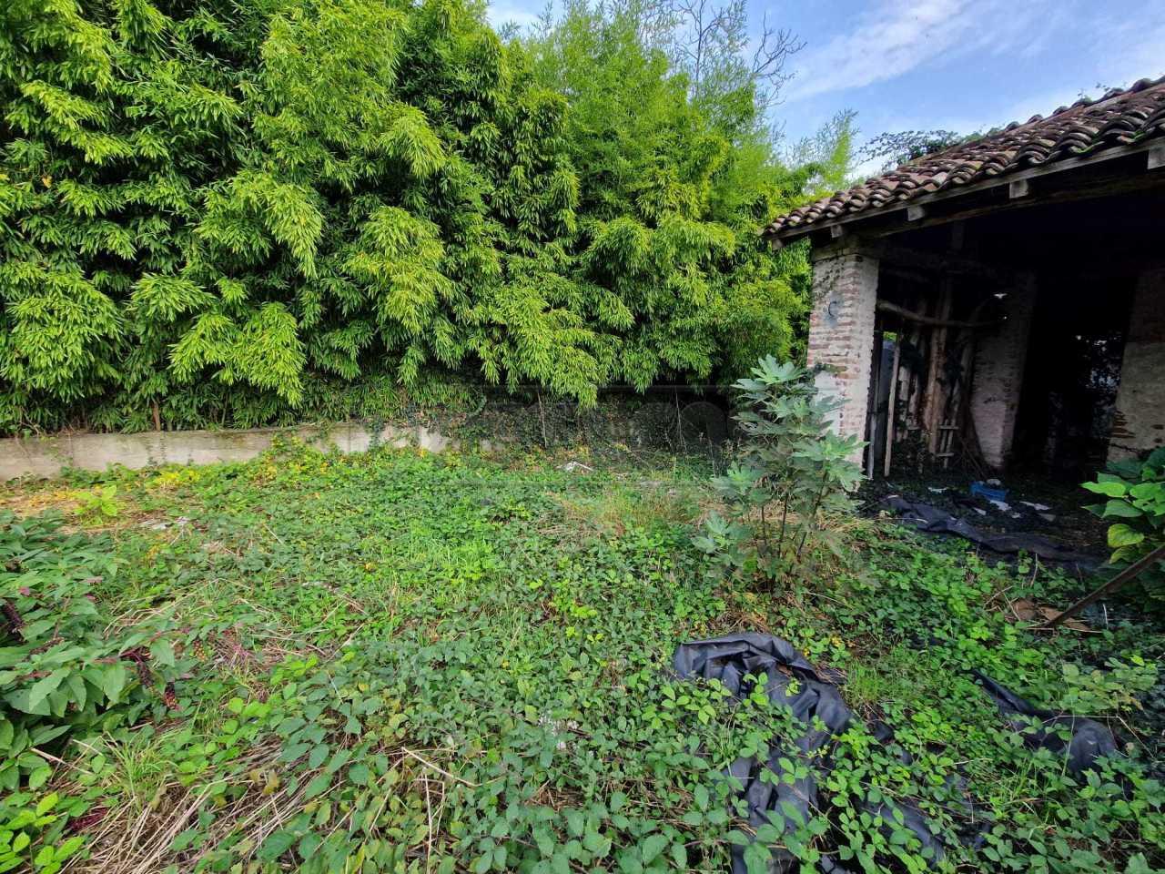 Vendita Pentavani, San Daniele Po foto
