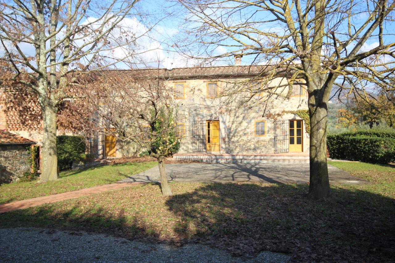 Affitto Multivani, Capannori foto