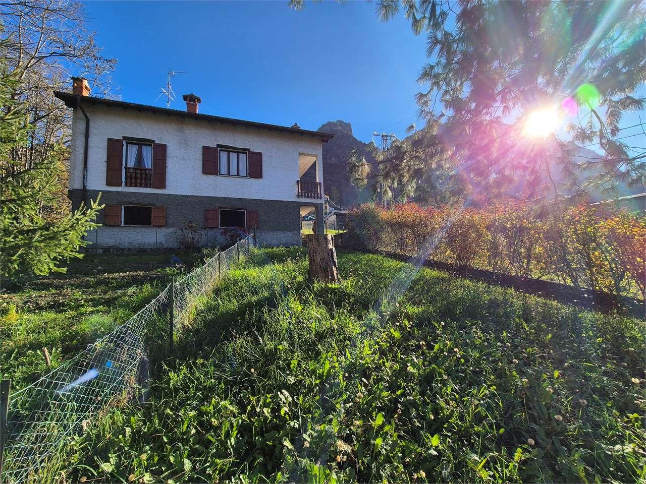 Vendita vendita, Cusino foto