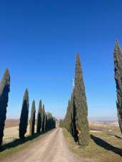 Vendita Appartamento, Monteroni d'Arbia Vendita Appartamento, Monteroni d'Arbia