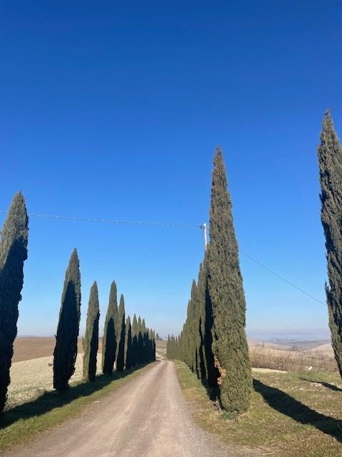 Vendita Appartamento, Monteroni d'Arbia foto
