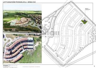 Vendita Terreno Residenziale, Asciano Vendita Terreno Residenziale, Asciano