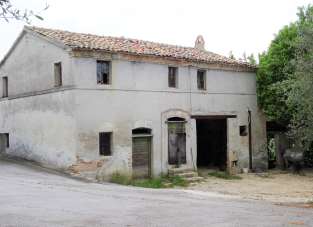 Vendita Multivani, Senigallia Vendita Multivani, Senigallia