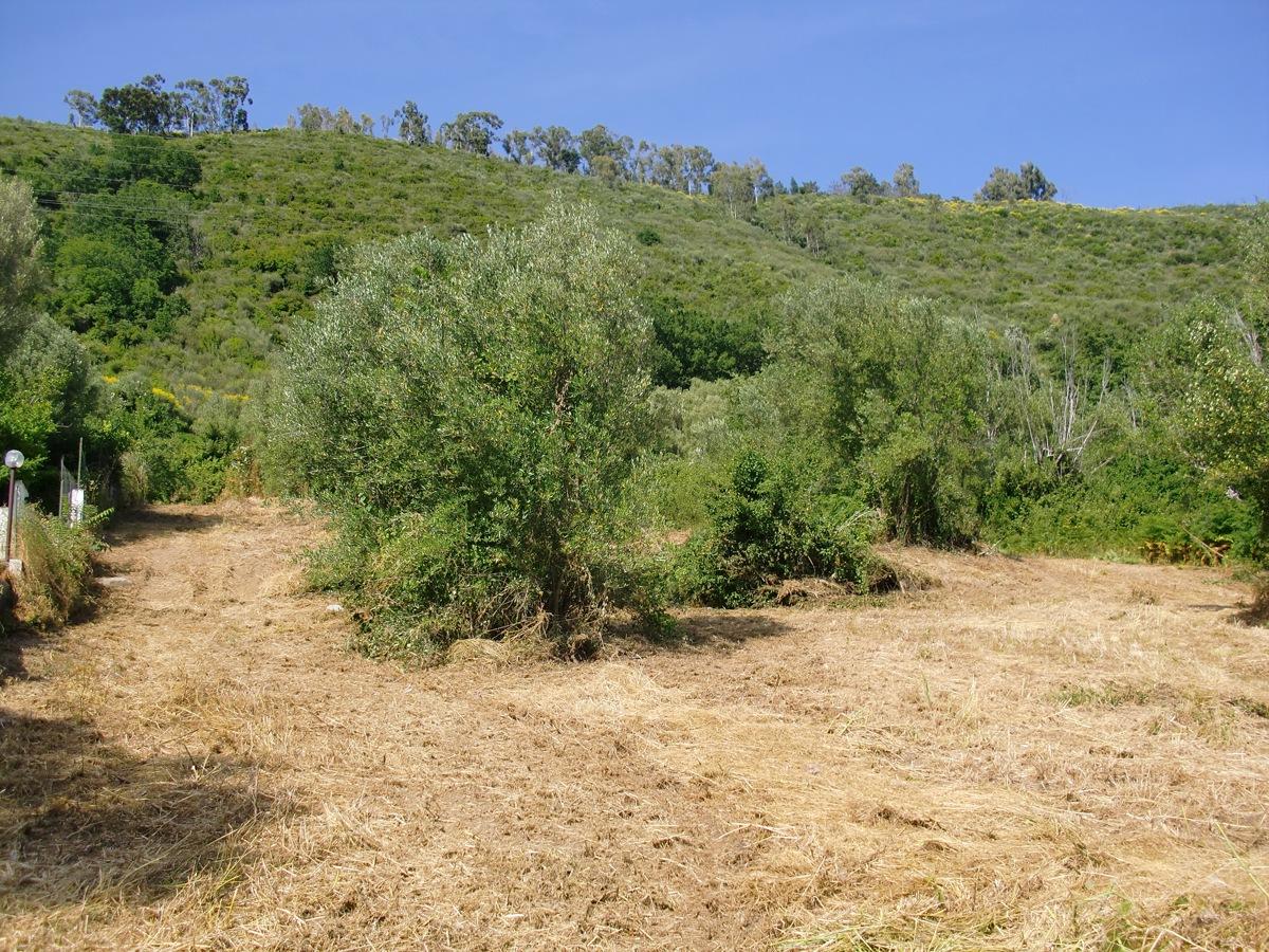 Vendita Terreno, Torre Orsaia foto