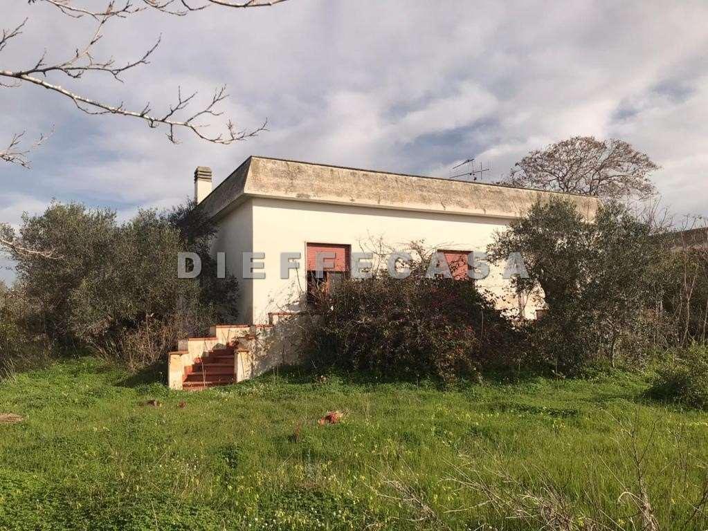 Vendita vendita, Marsala foto
