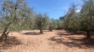 Vendita Monovano, Castelnuovo Berardenga Vendita Monovano, Castelnuovo Berardenga