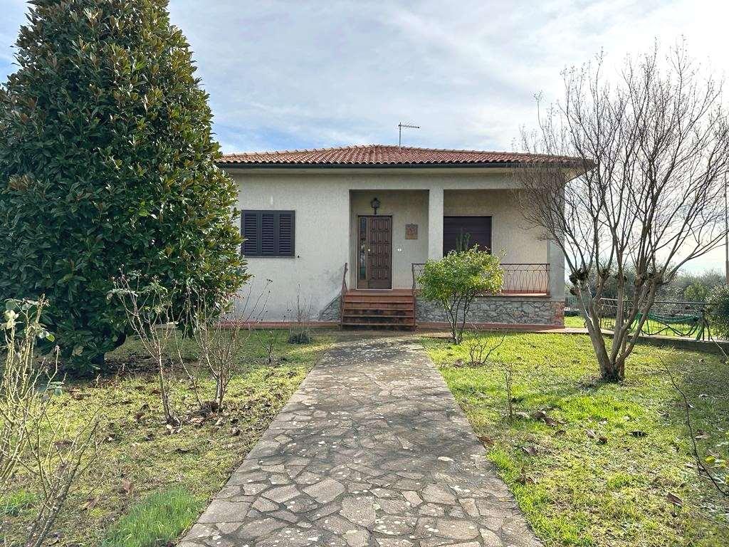 Vendita vendita, Pescia foto