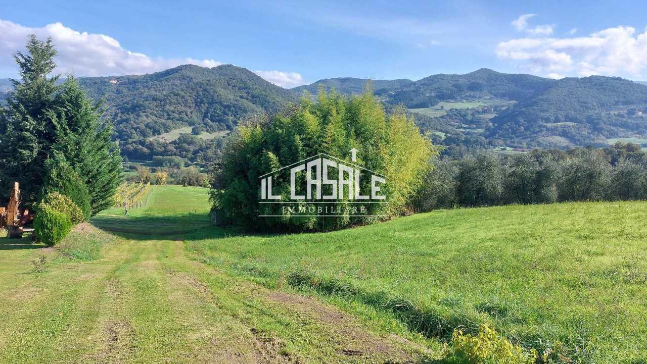 Vendita Trivani, Dicomano foto