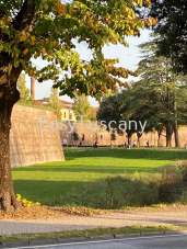 Vendita Eptavani, Lucca Vendita Eptavani, Lucca