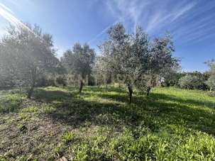 Vendita Monovano, Grosseto Vendita Monovano, Grosseto