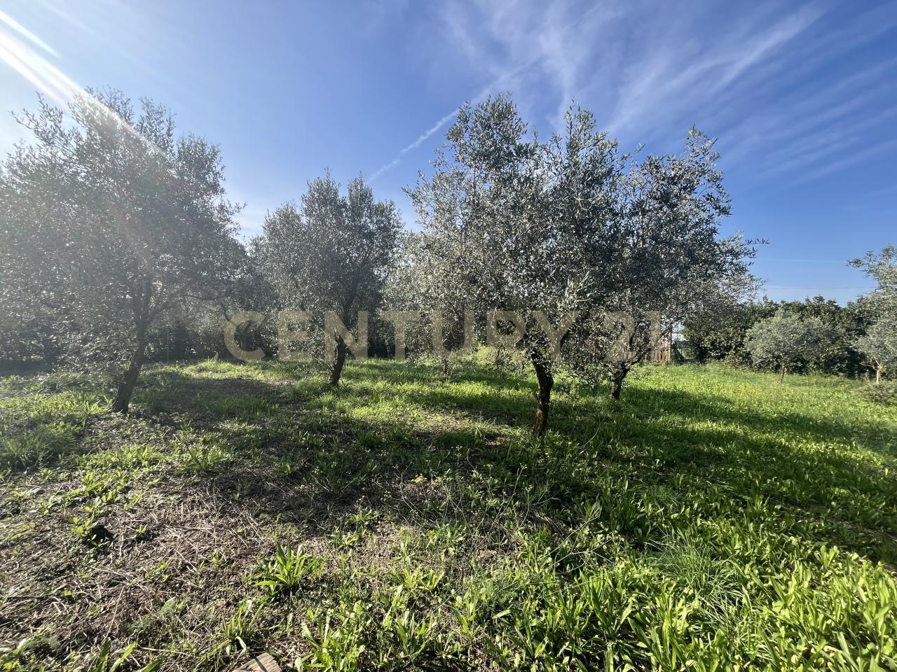 Vendita Monovano, Grosseto foto