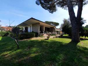 Vendita Multivani, Livorno Vendita Multivani, Livorno