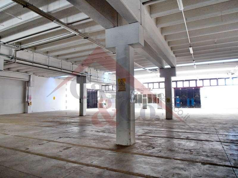 Affitto affitto, Modena foto
