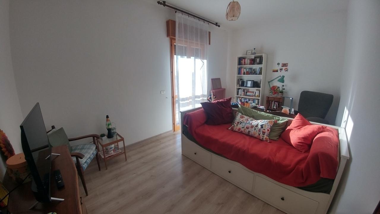 Vendita Trivani, Zocca foto