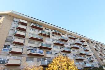 Affitto Multivani, Roma Affitto Multivani, Roma