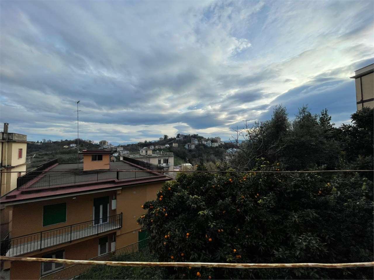 Vendita vendita, Frosinone foto
