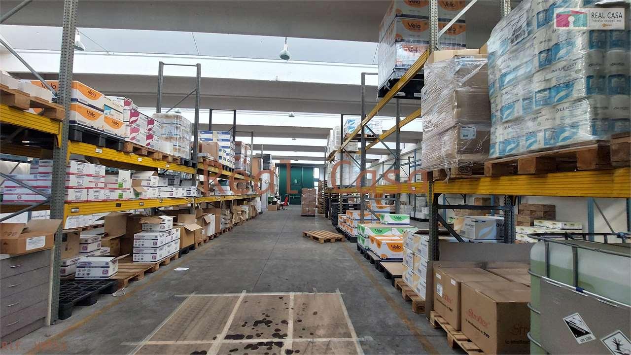Vendita vendita, Modena foto