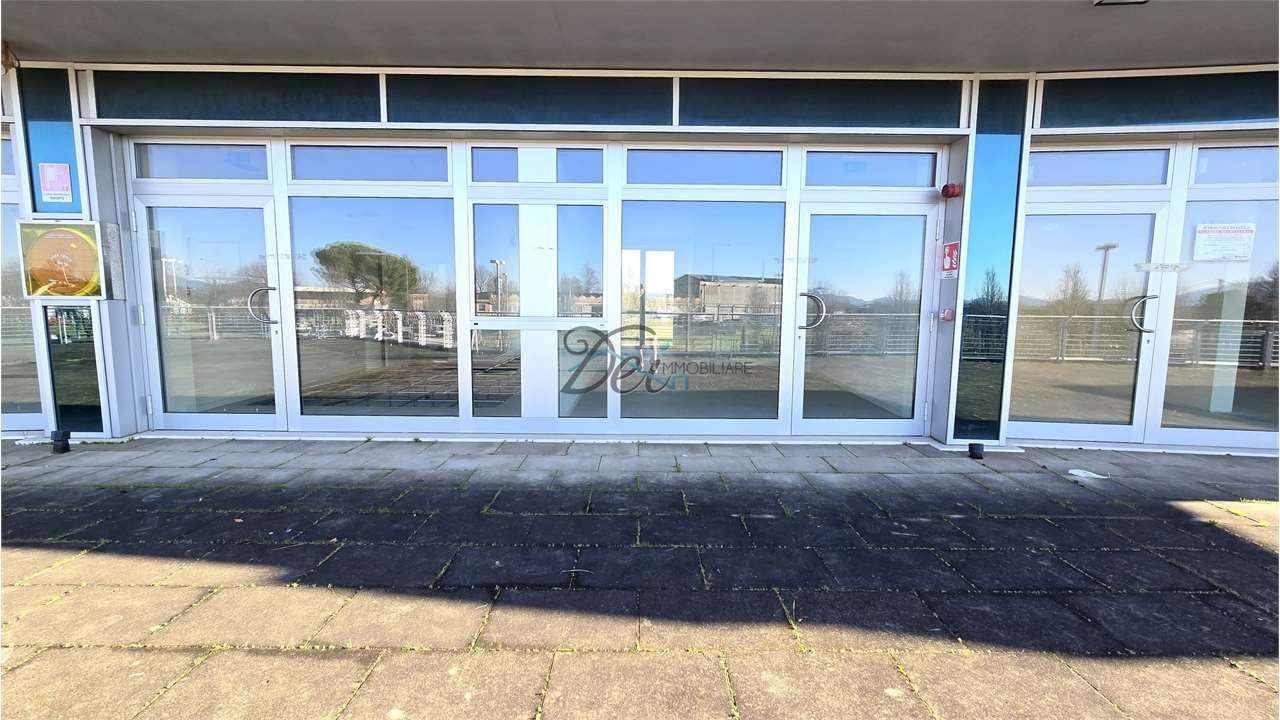 Affitto affitto, Capannori foto