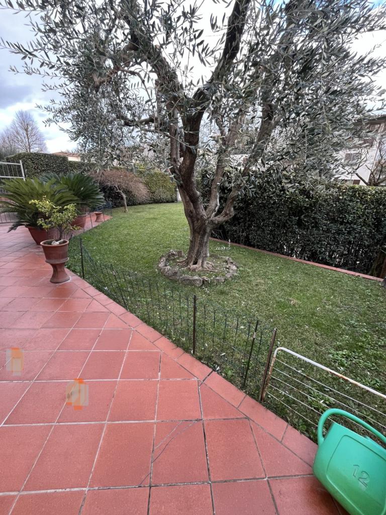 Vendita Esavani, Campi Bisenzio foto