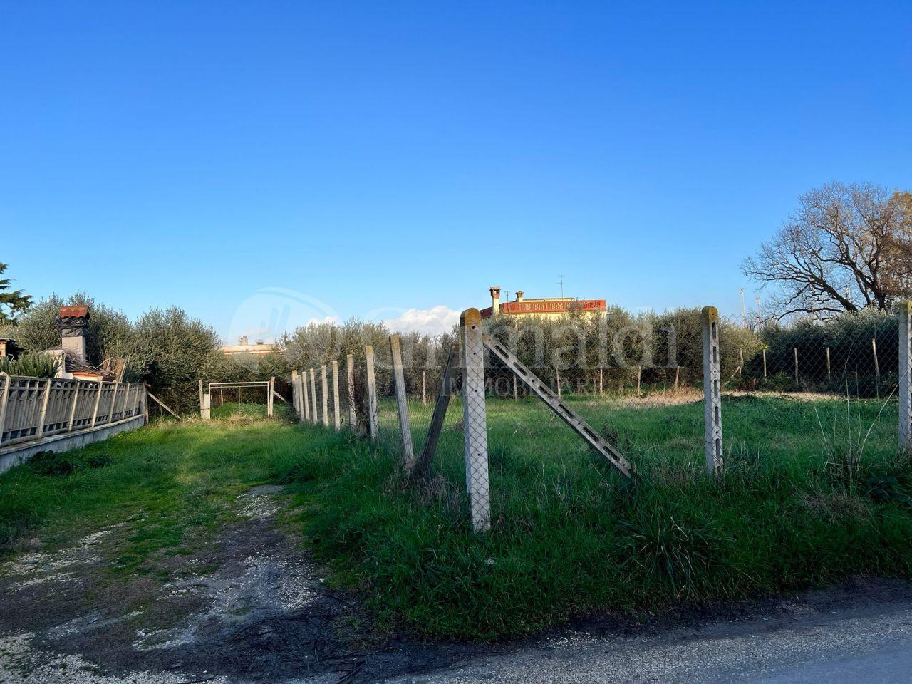 Vendita Monovano, Nettuno foto