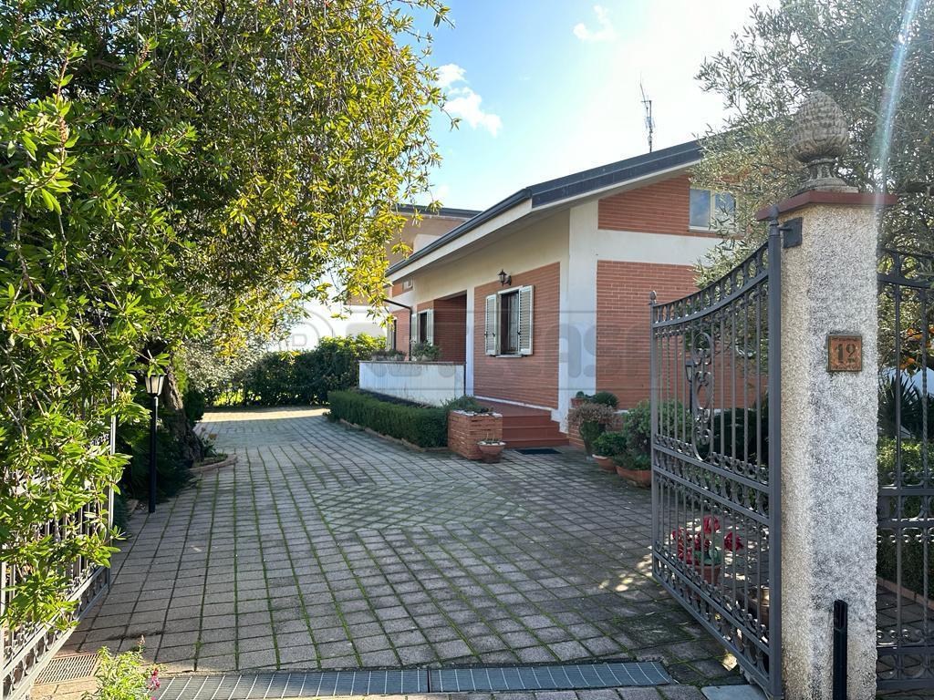 Vendita Pentavani, Catanzaro foto
