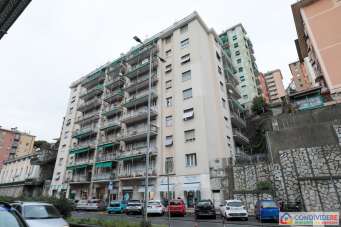 Vendita Quadrivani, Genova