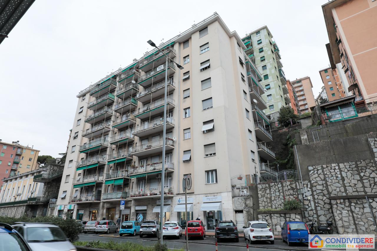 Vendita Quadrivani, Genova foto