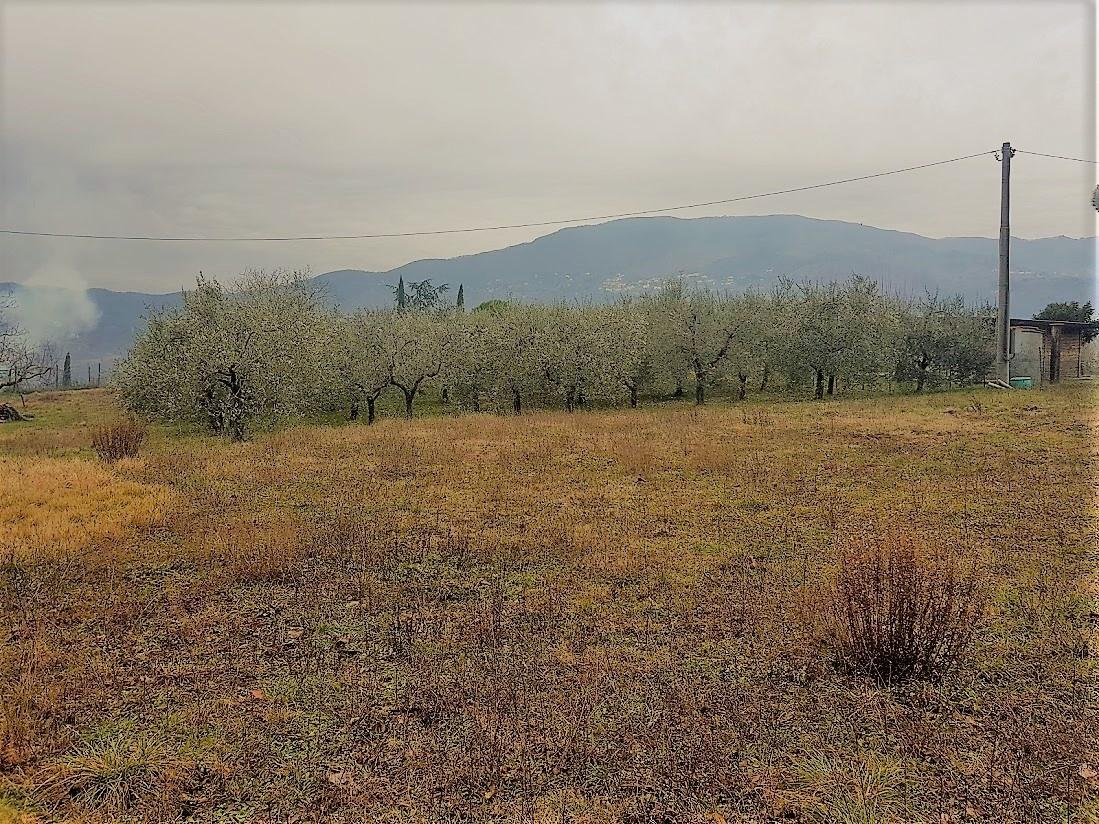 Vendita Monovano, Lucca foto