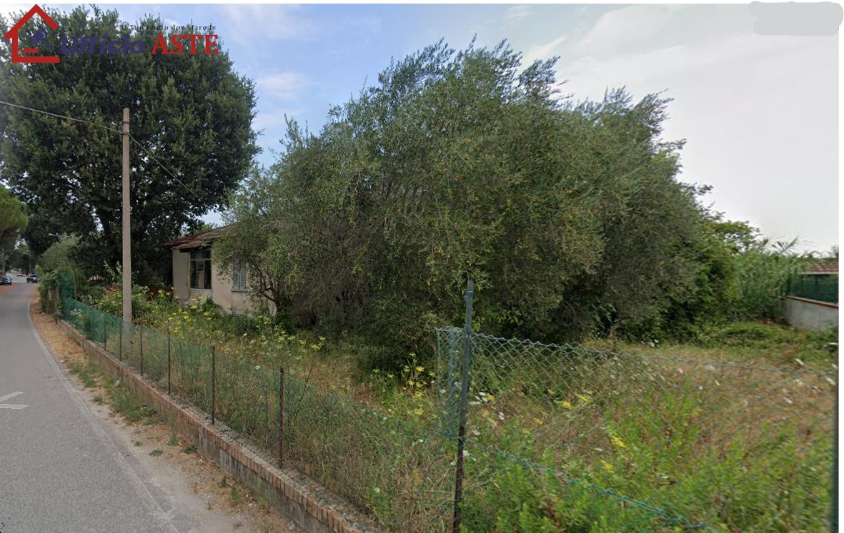 Vendita vendita, Fano foto