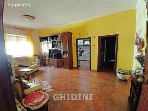 Vendita Pentavani, Grosseto Vendita Pentavani, Grosseto