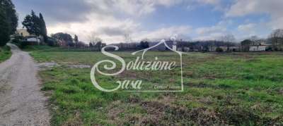 Vendita Terreno, Fauglia Vendita Terreno, Fauglia