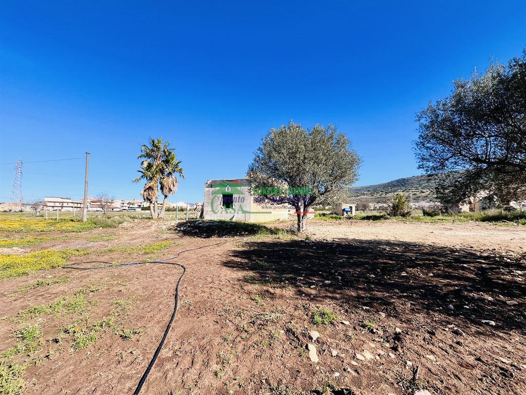 Vendita Terreno Agricolo, Comiso foto